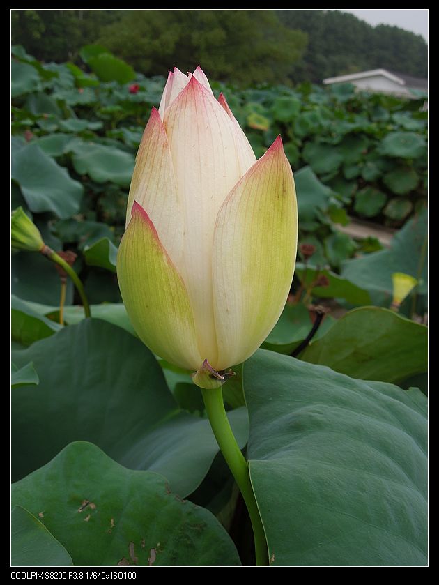 dscn1235.jpg