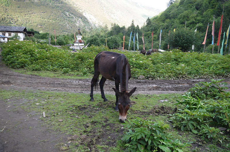 p1050333_.jpg