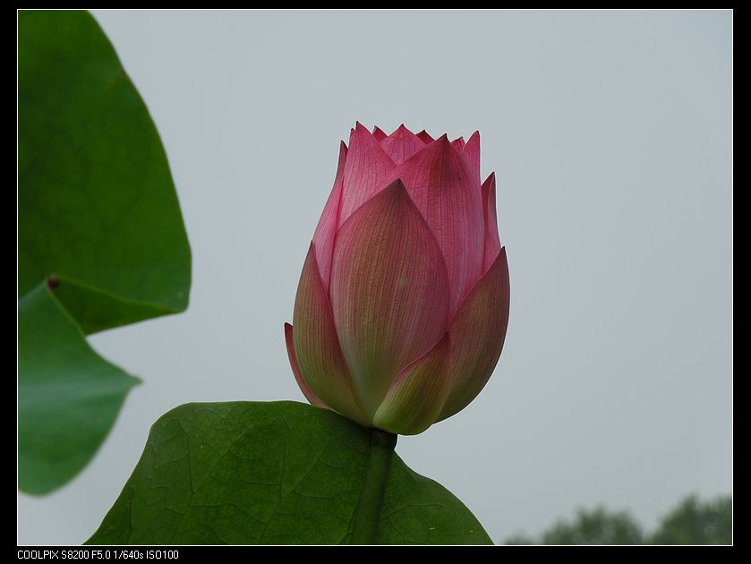 dscn1245.jpg