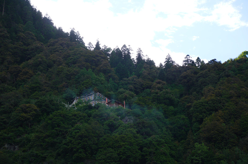 p1050339_.jpg