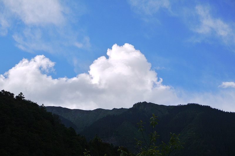 p1050340_.jpg