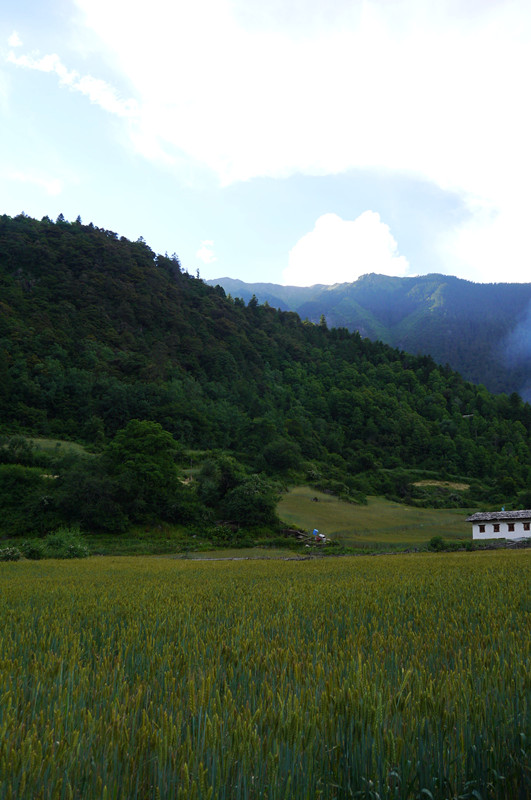 p1050377_.jpg