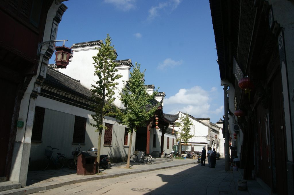 dsc01544.jpg