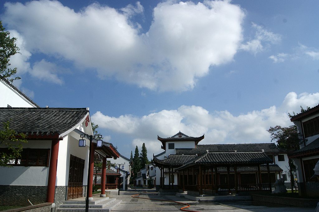 dsc01545.jpg