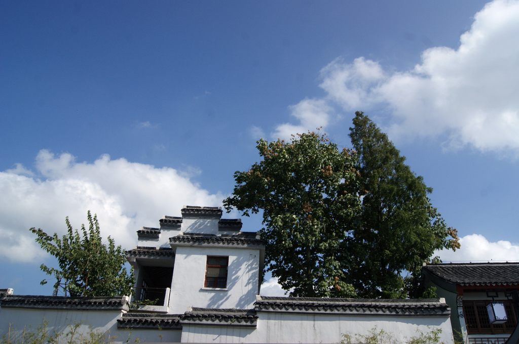 dsc01548.jpg