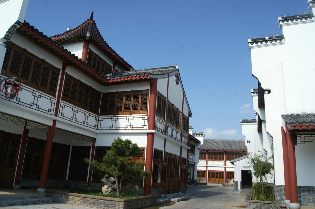dsc01546.jpg