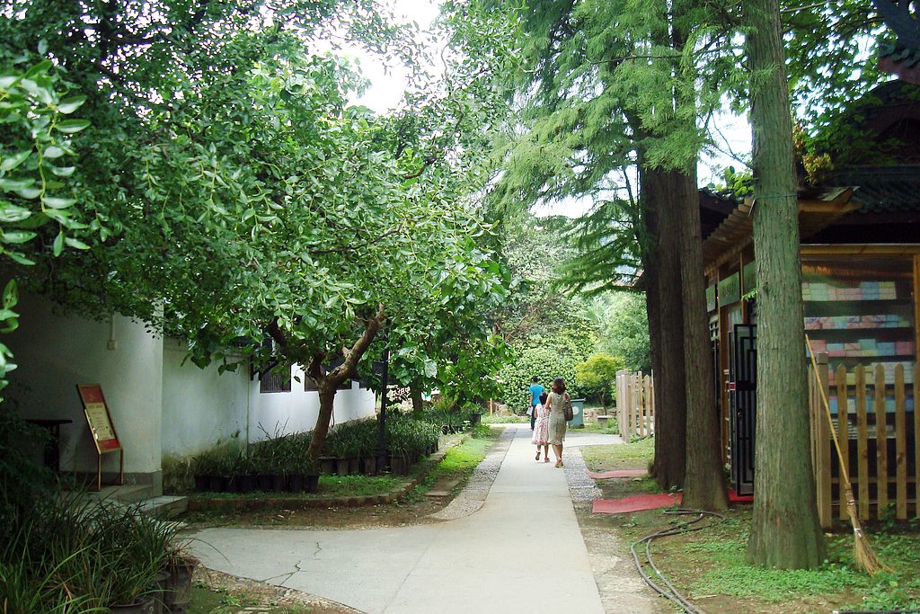 dsc02072.jpg