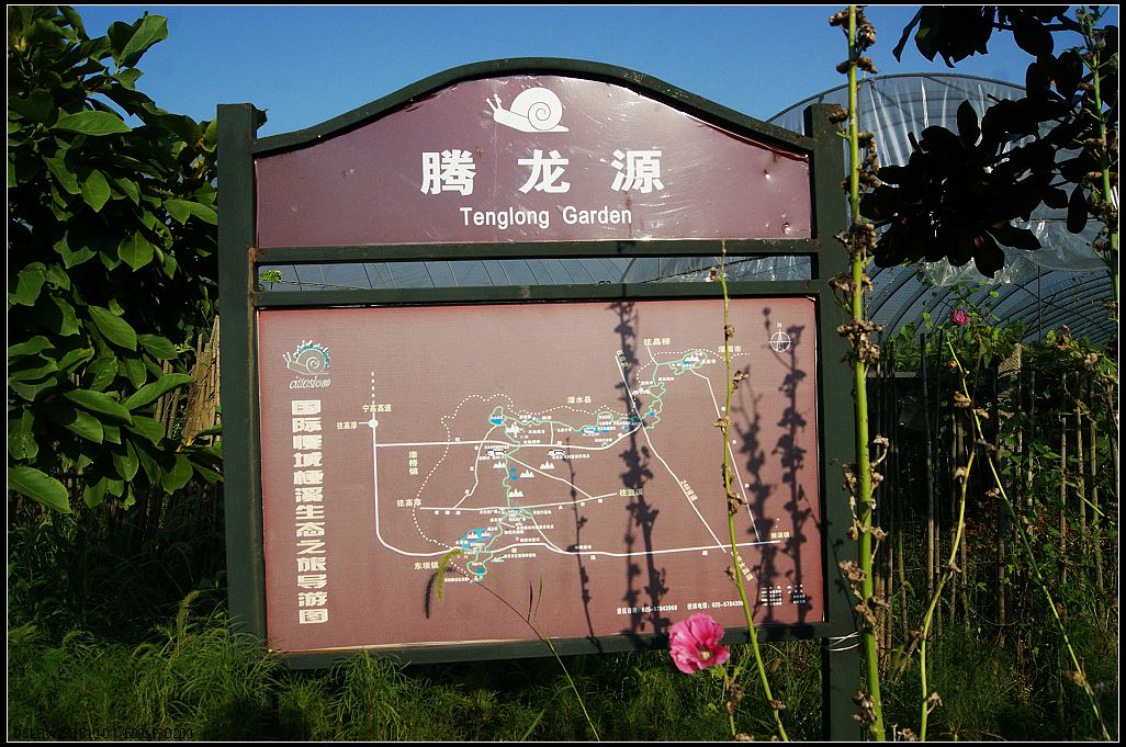 dsc01432.jpg