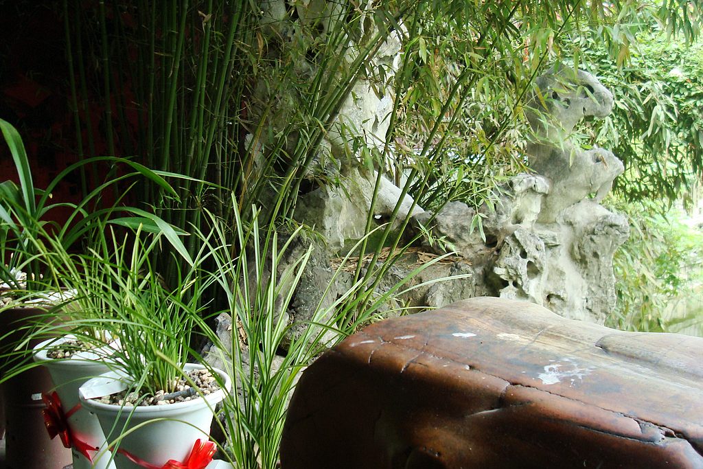 dsc02121.jpg