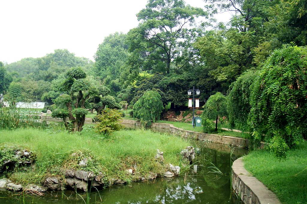 dsc02133.jpg