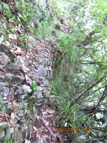 img_9779.jpg
