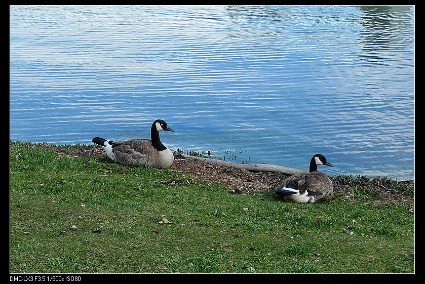p1150034_neo_img.jpg
