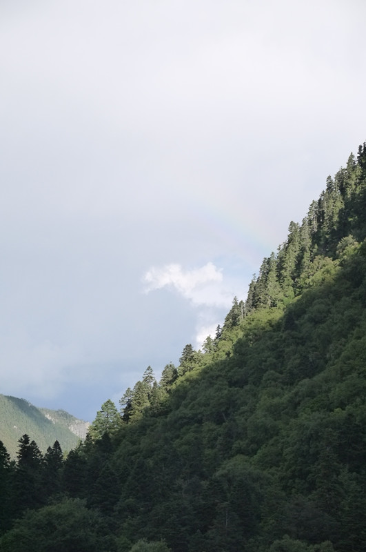 p1050392_.jpg