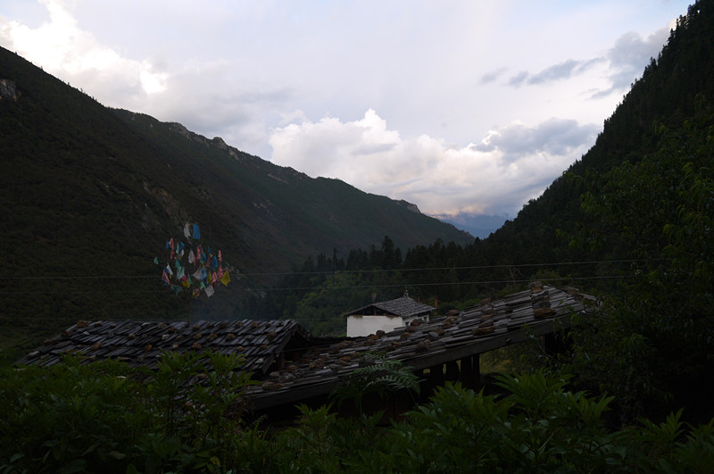p1050421_.jpg