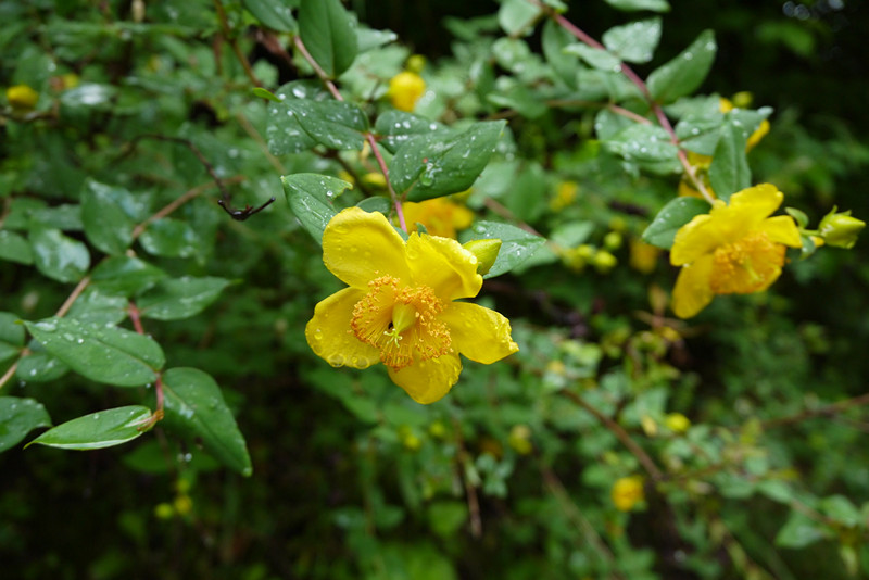 p1050527_.jpg