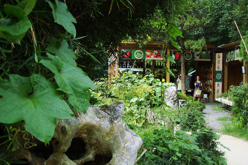 dsc02223.jpg