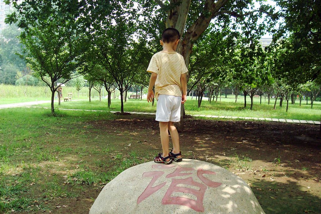 dsc02319.jpg