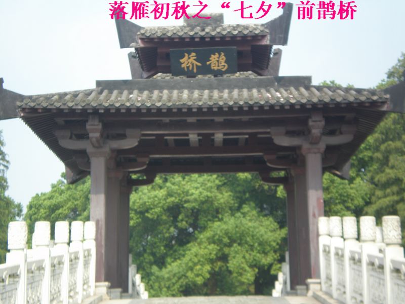 p8190005.jpg