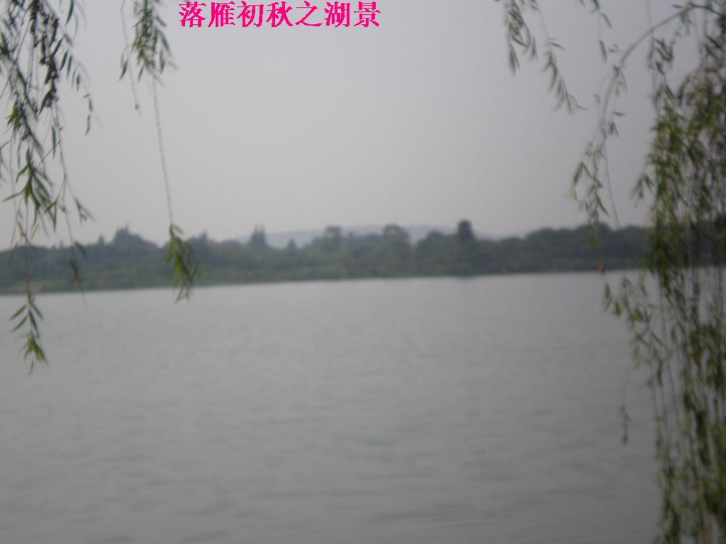 p8190009.jpg