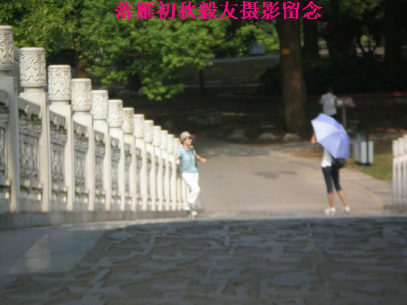 p8190003.jpg