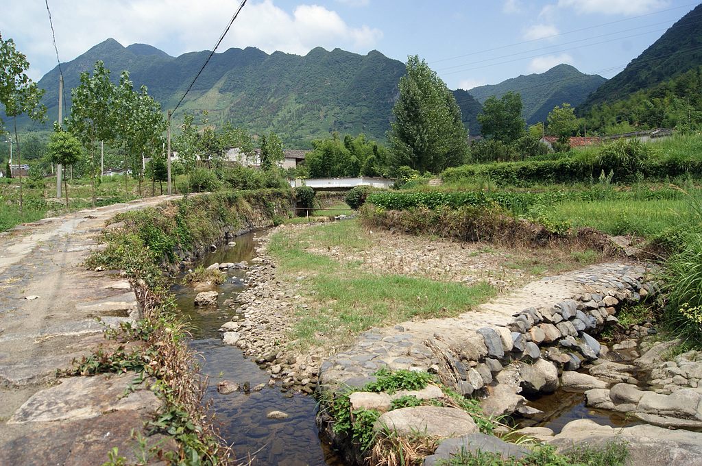 dsc01580.jpg