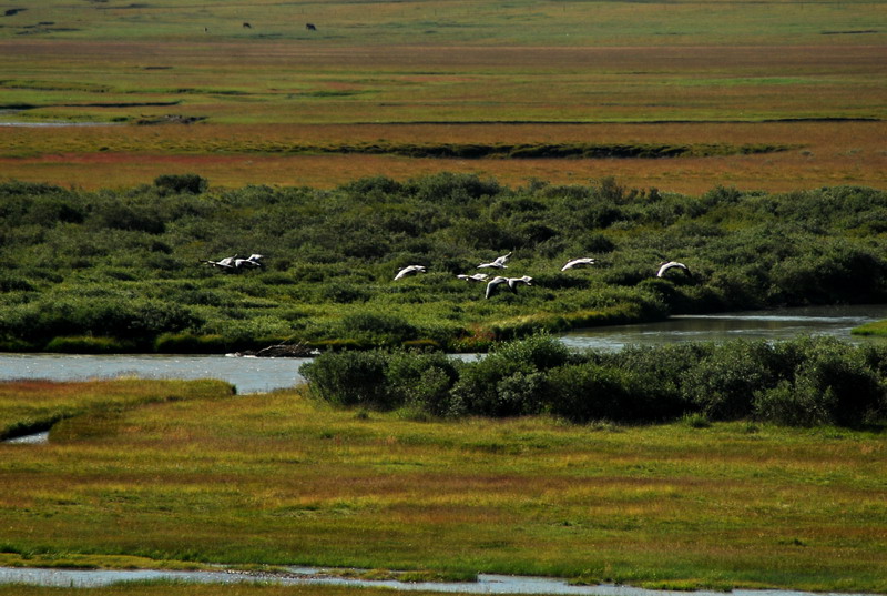 dsc_5612.jpg