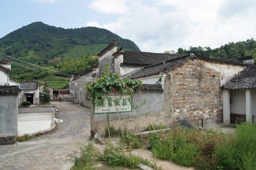 dsc01586.jpg