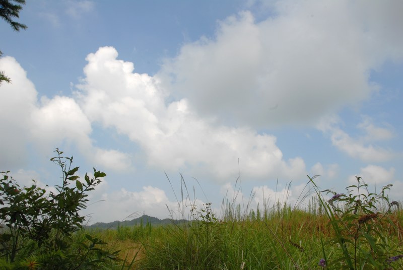 dsc_0369.jpg