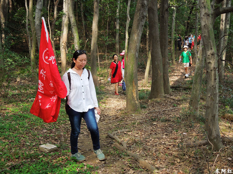 dscn1410.jpg