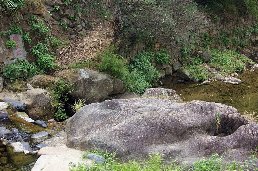 dsc01612_.jpg