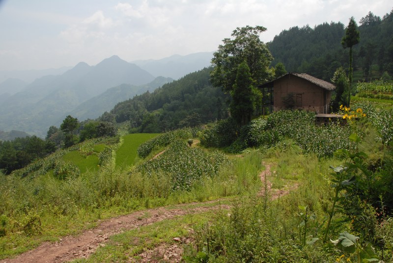 dsc_0614.jpg