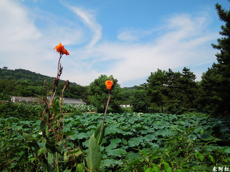 dscn1482.jpg