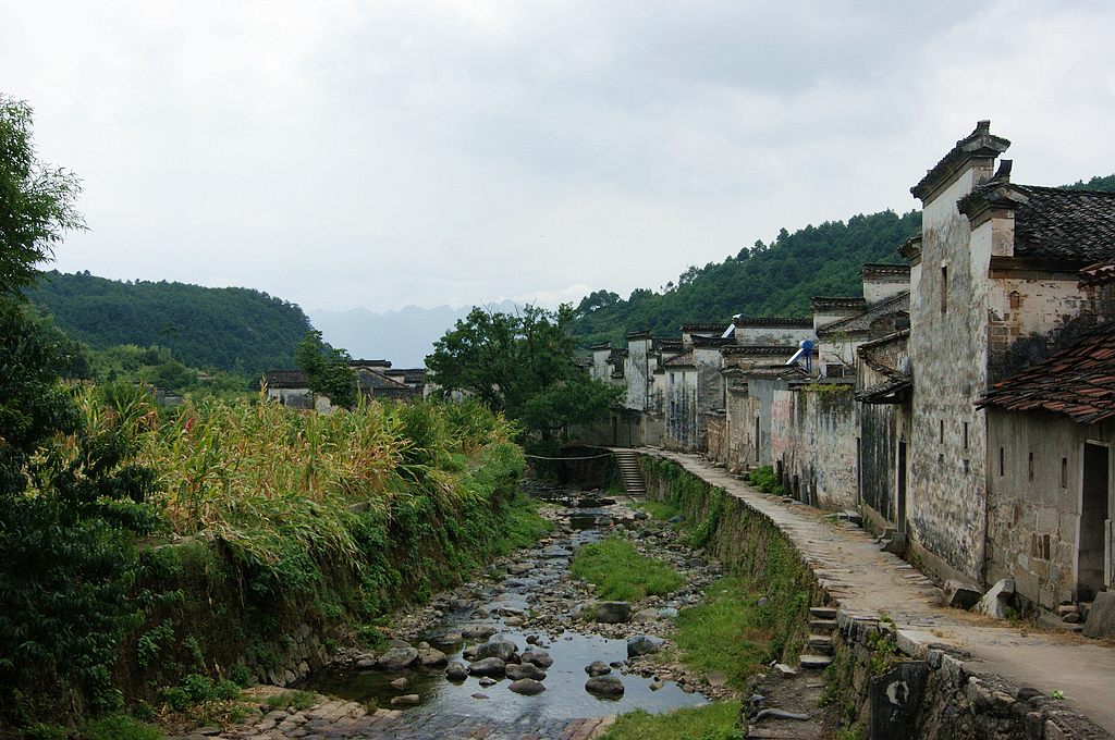 dsc01625.jpg