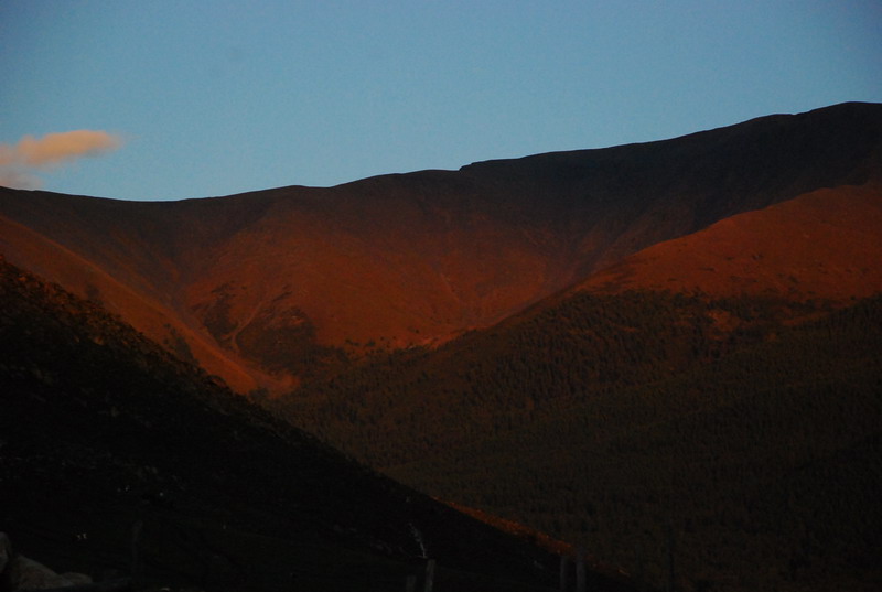 dsc_7073.jpg