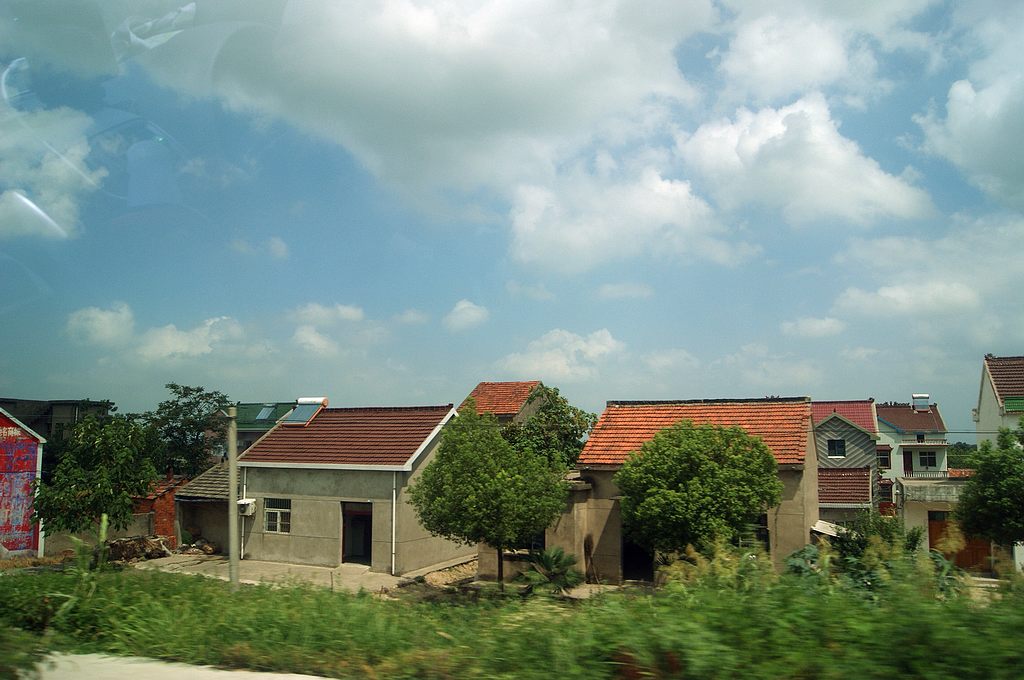 dsc01561.jpg