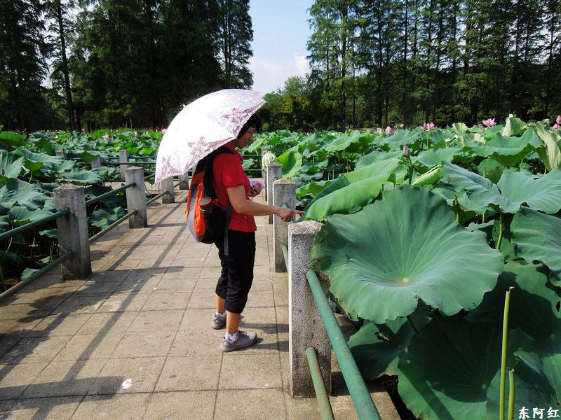 dscn1501.jpg