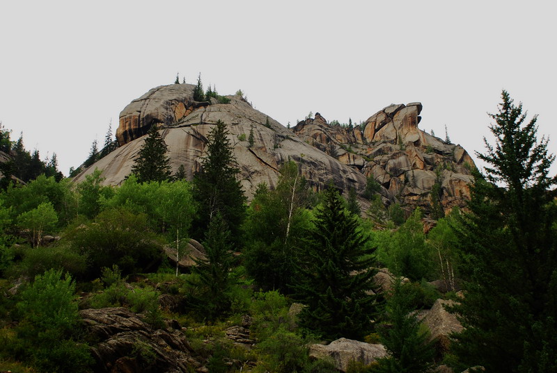 dsc_7356.jpg