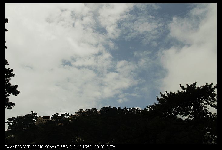 neo_img__mg_2804.jpg