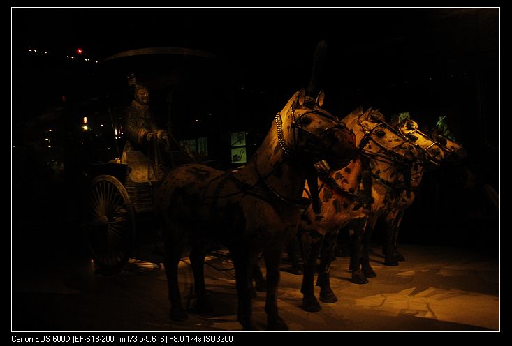 neo_img__mg_2731.jpg