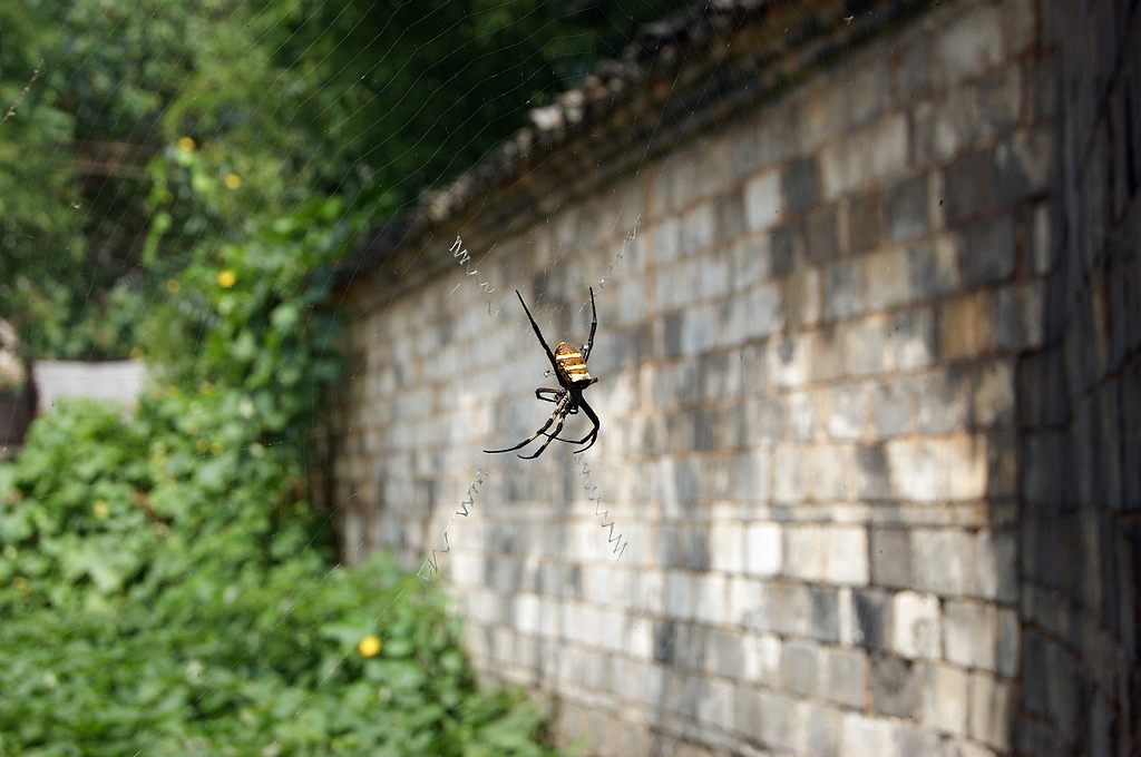 dsc01649.jpg
