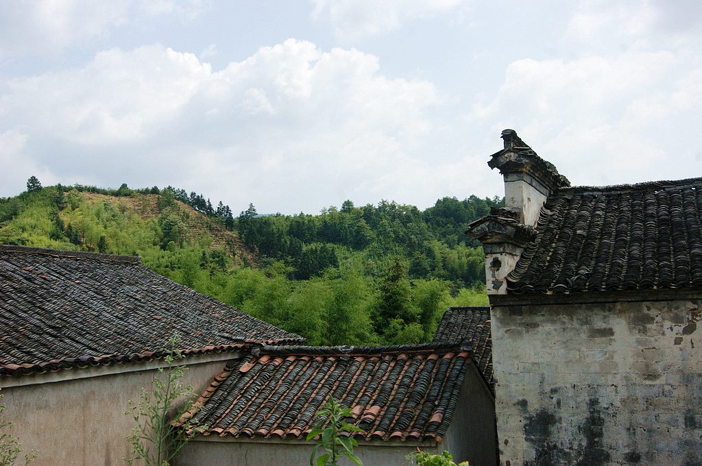 dsc01646.jpg