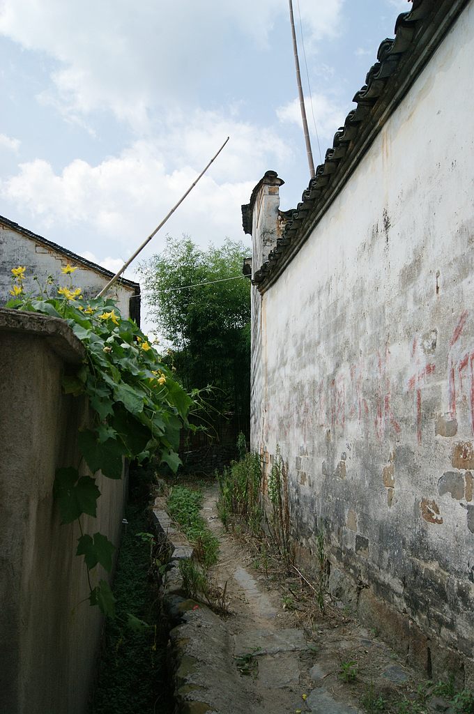 dsc01653.jpg