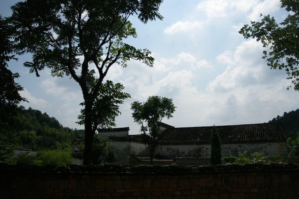 dsc01654.jpg