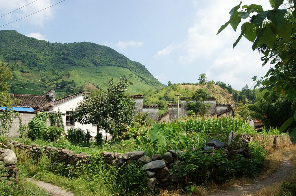 dsc01662.jpg