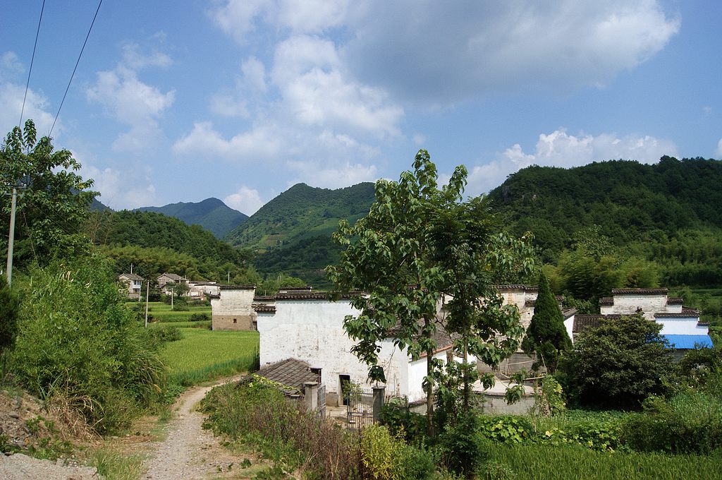 dsc01671.jpg