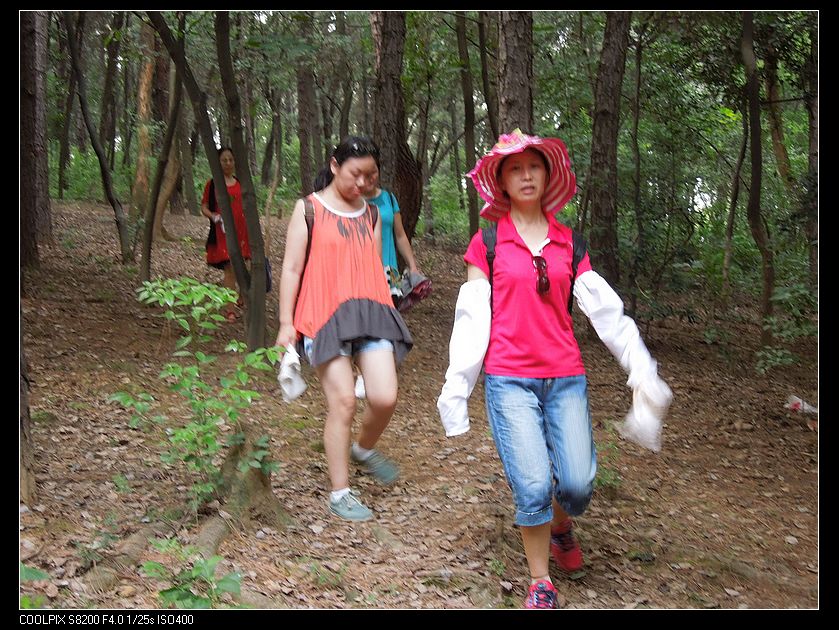 dscn1524.jpg