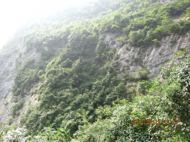 img_9825.jpg