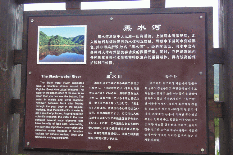 dsc00330.gif
