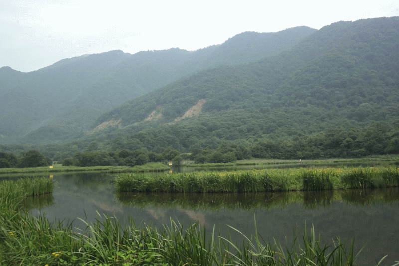 dsc00329.gif