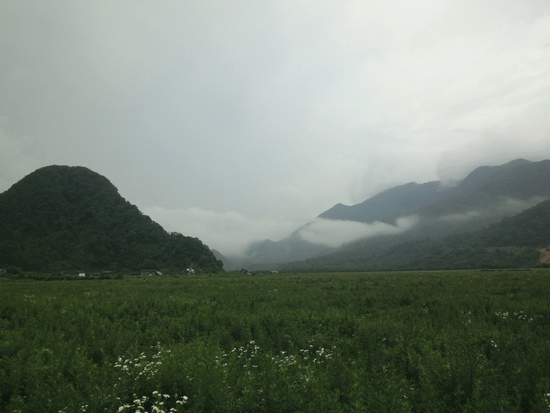 dsc00289.gif